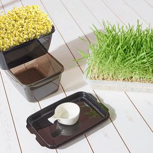 집에서 콩나물 새싹 무순 보리 키우기 식물재배 홈키트