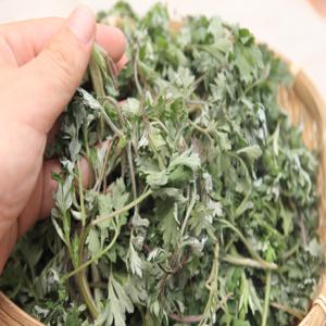 거문도 해풍맞은 쑥 1kg