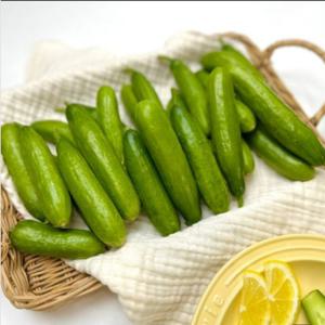 국내산 미니오이 1kg