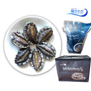 완도활전복 특大 최고급선물 14마리 1,560g /부직포