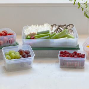 말랑납작이채반세트 반투명/숲초록