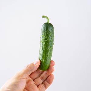 국내산 미니오이 1kg 2kg