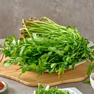 당일수확 향긋한 청도 미나리 500g 1kg