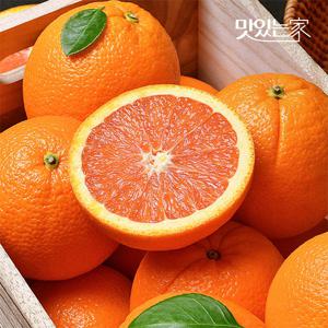 고당도 카라카라 오렌지 크기별