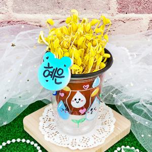 교과서에 나오는 나만의 콩나물 키우기키트2 관찰일지 포함