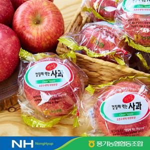 껍질째 먹는 안심사과