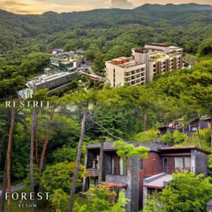 |스프링 얼리버드| 리솜리조트 레스트리/포레스트 리솜 5월까지 특가 오픈 / 조식 2인 포함