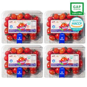 (신선집중) 스테비아 대추방울 토망고 2kg (500g 4팩)