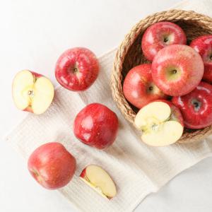 아삭한 꿀사과 장수사과 햇 부사 꼬꼬마-꼬마과 3kg(15-19과)