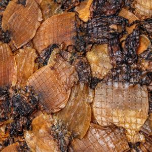 당일배송 숏다리맛 쫄쫄이 오징어 조미 오징어 200g (6-12미)