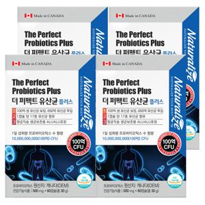 더 퍼펙트 유산균 프로바이오틱스 플러스 510mg 60캡슐 4박스 8개월분 (업그레이드 650억 투입 100억 보장)