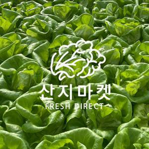 유러피안샐러드 혼합 1kg 비세척 대용량 샐러드채소 유럽채소 쌈채소