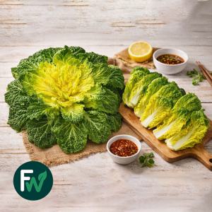 국내산 진도 제철채소 봄동 아삭한 겉절이 배추