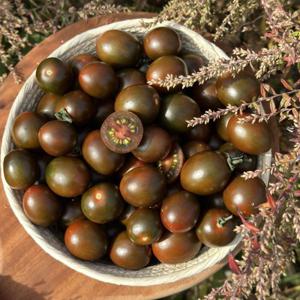 흑대추방울토마토 로얄과 1kg 방울토마토 /27일까지 특별할인+무료배송