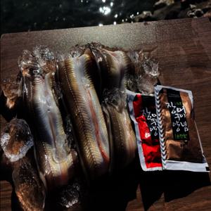 자연산 통영 대짜 바다장어 1kg (2-3미) 소스 2종 증정 아나고 손질 장어 국내산 대사이즈 최상급