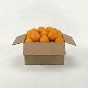 제주 프리미엄 고당도 천혜향 가정용 3kg