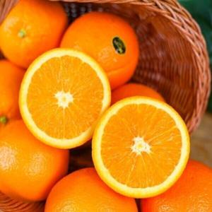 고당도 네이블 오렌지 블랙라벨 중소과 20과 (3kg 내외 실중량) / (가격파괴 특가 행사)