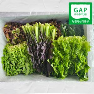 모듬 쌈채소 4종 1kg (꽃상추 적겨자 케일 청로메인) 당일수확 산지직송