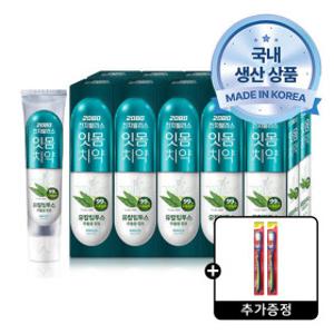 2080 진지발리스 유칼립투스 민트 150g 10개 +사은품