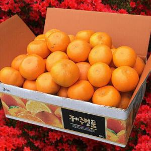 한라산농장 천혜향 10KG 혼합및 특정과 폭싹세일 당일수확 싱싱