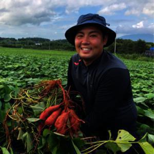 (신선집중) 고창 김민상님의 황토밭 꿀고구마 5kg 한입