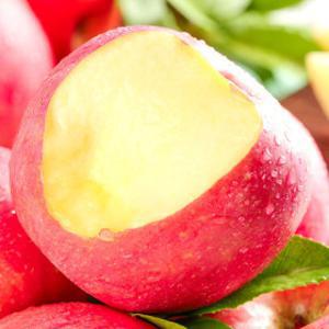 하루쿠폰초특가 청송 부사 사과 가정용 중소과 2kg 상큼달콤 경북