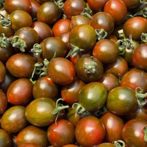 흑대추방울토마토 방울토마토 (부산 대저) 1kg / 1~3번 로얄과