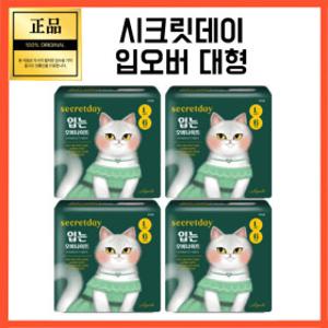 시크릿데이 입는 오버나이트 에디션 대형 6P 4개 타임세일