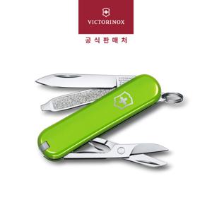 클래식 컬러스 58mm 스몰 포켓 스위스 아미 나이프 칼 스매쉬드 아보카도 0.6223.43G 빅토리녹스