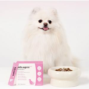 강아지 고양이 유산균 강아지 소화제 위장건강 종합영양제 인트라젠 플러스 30개입