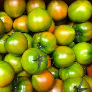 농장직송 특품 대저 짭짤이 토마토 2.5kg (S 소과) 품평회 대상 수상 농가