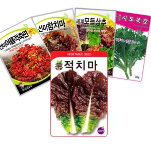 (무료배송) 동원적치마 상추 외 300여종 채소씨앗 모음 상추씨앗 종자 새싹 텃밭 가꾸기