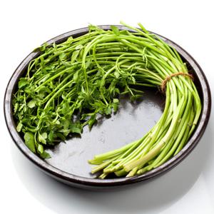 청도 한재 미나리 500g / 제철 할인