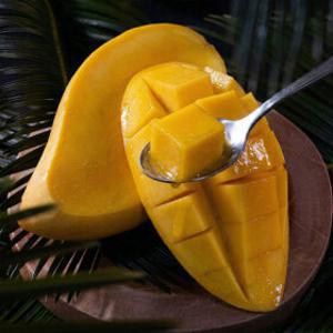 (신선집중) 단하루 중복쿠폰/ 태국 골드망고 4kg 8-14과/특대과 항공 통관즉시 발송