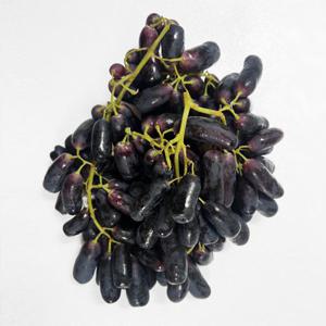 씨없는 수입 가지포도 블랙사파이어 1.6kg내외 / 배송비 무료 이벤트 진행