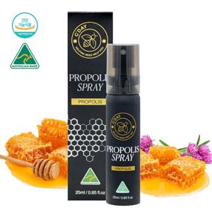 굿데이 프로폴리스 스프레이 25ml