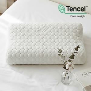 홈플리쿡 국산 경추베개 거북목 일자목 목디스크 3D오픈셀 메모리폼