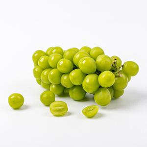 (신선집중) 경북 샤인머스켓 2kg / 3수 에어포장