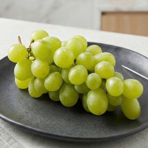 애플 청포도 고당도 선별 가지 아삭 씨없는 포도 씨없는 포도