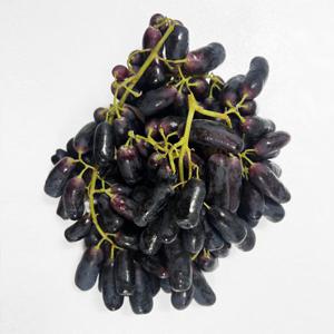 씨없는 수입 가지포도 블랙사파이어 2.4KG