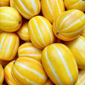 (한정특가) 첫수확 고당도 성주 꿀참외 // 2kg(혼합과) 박스포함