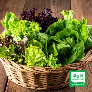 당일수확 무농약 수경재배 유러피안 샐러드 채소 1kg 랜덤 3-7종