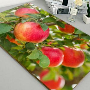 아트박스/꾸밈 ce271-아크릴액자_풍수의빨간사과(대형)