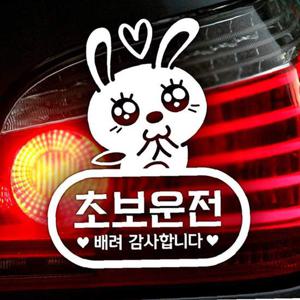 애교토끼 초보운전 초보자동차스티커-화이트