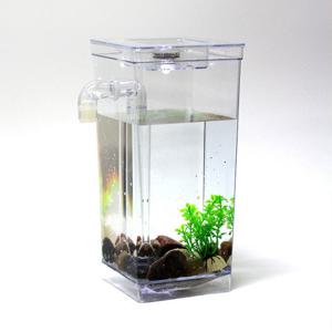 LED 자동청소어항 미니 물고기 구피 열대어 수조 세트 손쉬운 물갈이 청소 사이판원리