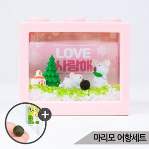 초록 코알라마을 마리모키우기 세트 마리모 포함