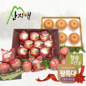산지애 왕특대 사과 3.5kg+왕특대 배 4.7kg