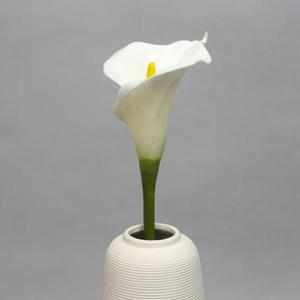 아트박스/위드마켓 플라워가든 카라 조화(화이트)