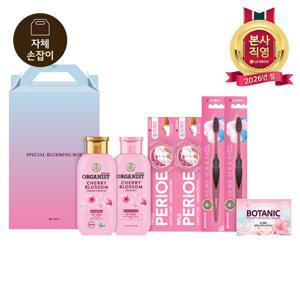 [LG설선물세트] 스페셜 블루밍박스 P호