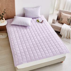 [모던하우스] 더 도톰해진 퓨어코튼 60수 고밀도 패드 Q 라벤더